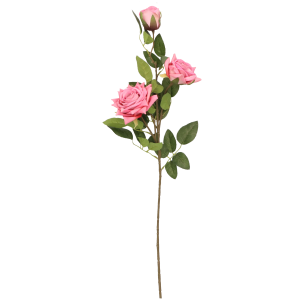 f751f561efa3b50d62ec3e187d4daf1e.png