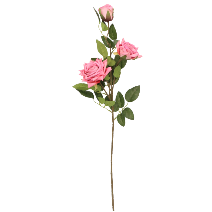 f751f561efa3b50d62ec3e187d4daf1e.png