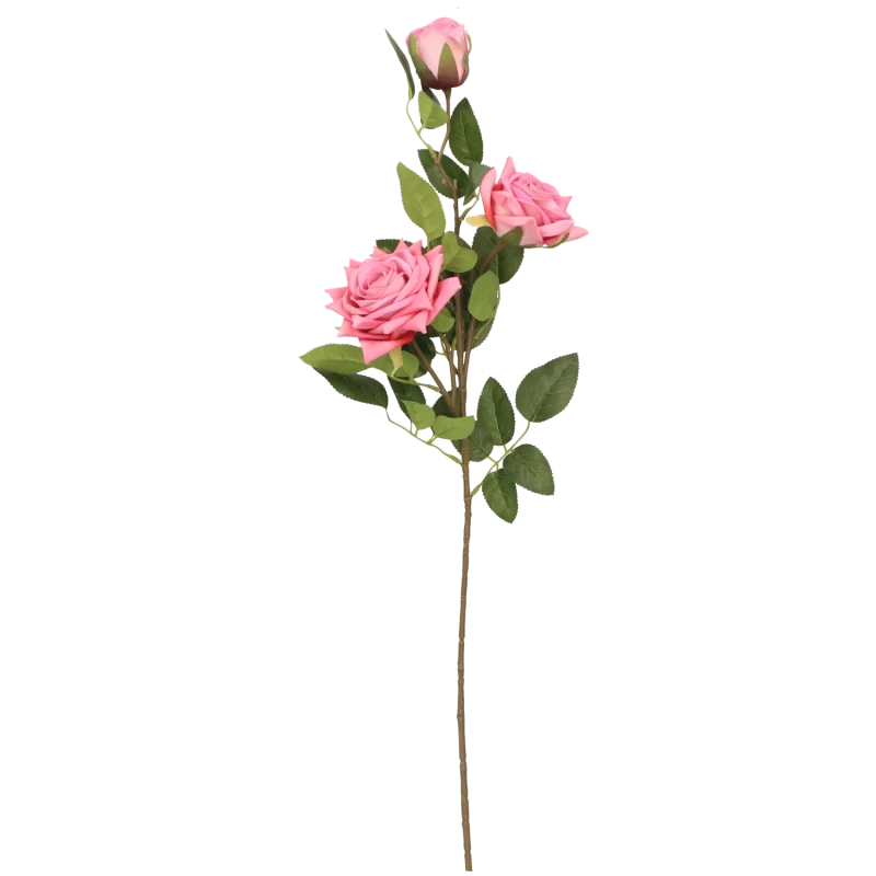 f751f561efa3b50d62ec3e187d4daf1e.png
