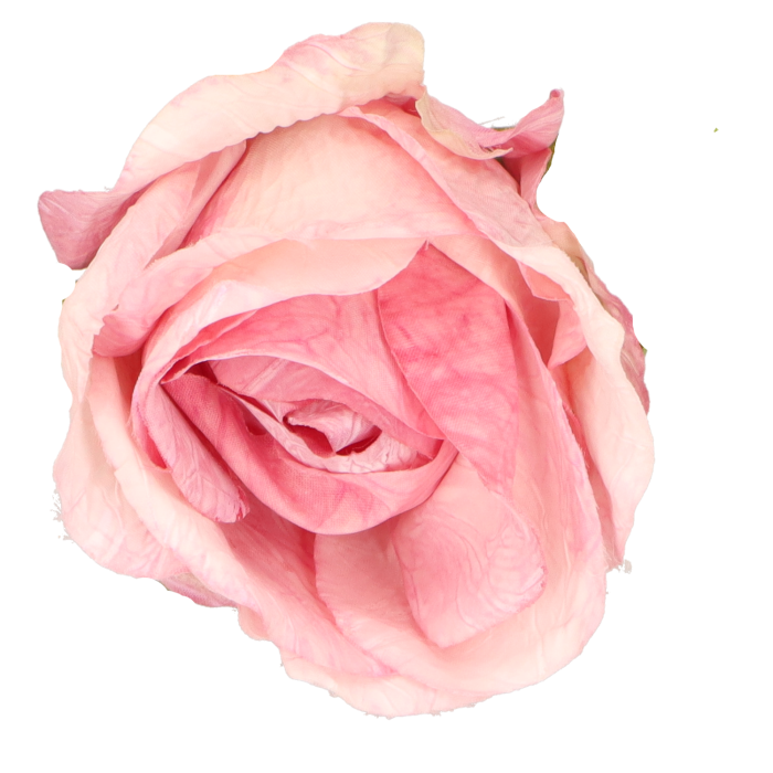 cc3bfd8f6f1b13dee4f999a3867bca7b.png