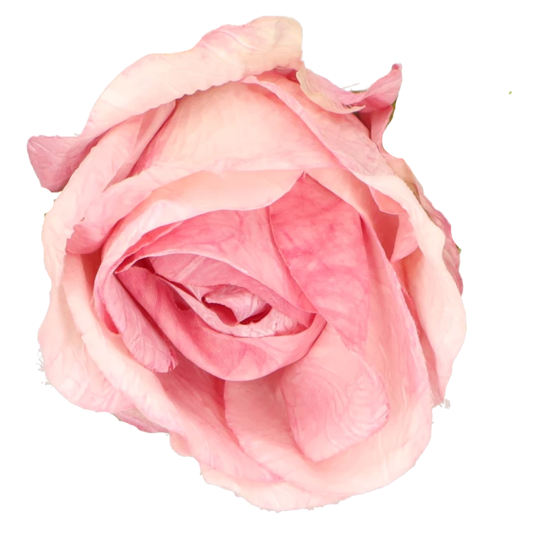 cc3bfd8f6f1b13dee4f999a3867bca7b.png