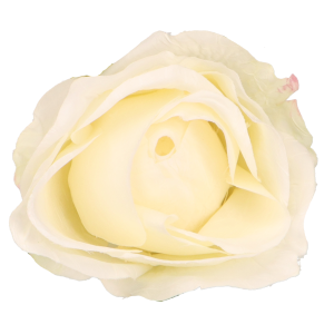56d6cd811186b24dd1e0e0fa7779ac18.png