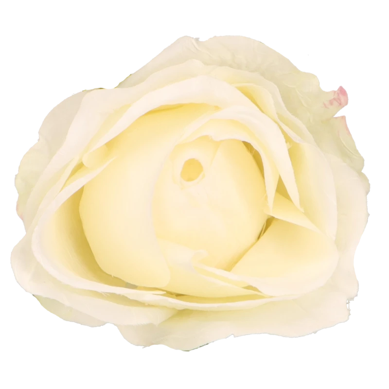 56d6cd811186b24dd1e0e0fa7779ac18.png