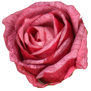 d14cad68b644c0cc6a30dd67eb464b04.png