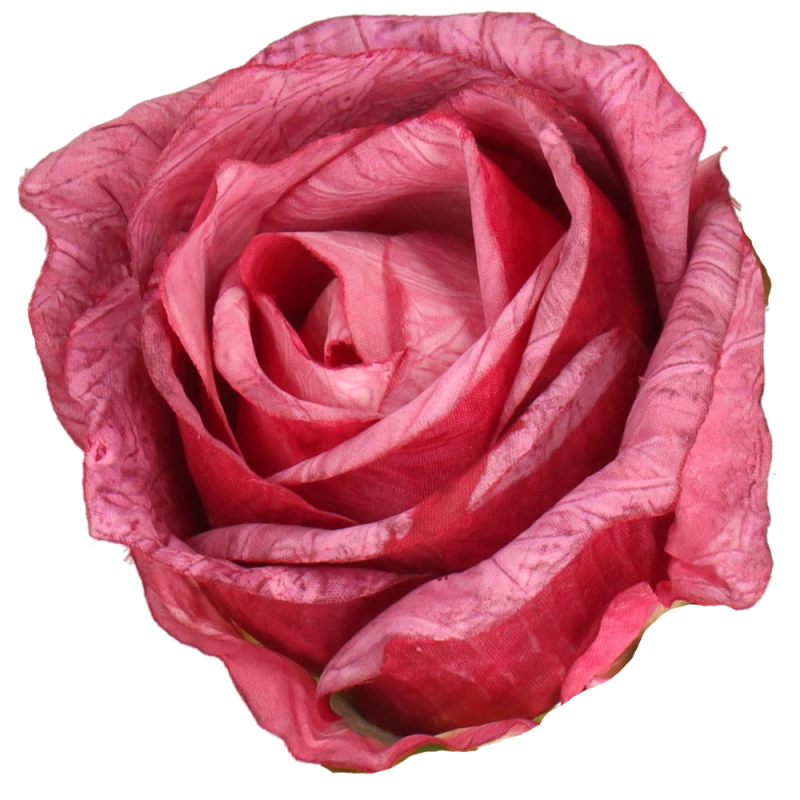 d14cad68b644c0cc6a30dd67eb464b04.png