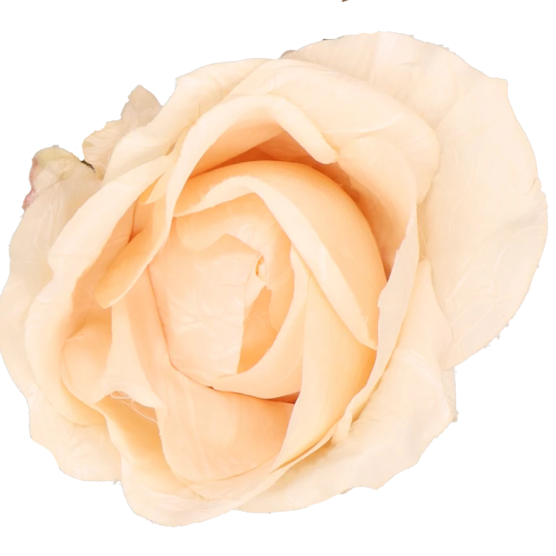 26f3fd3c614ae594cdad87b7ad5981b5.png