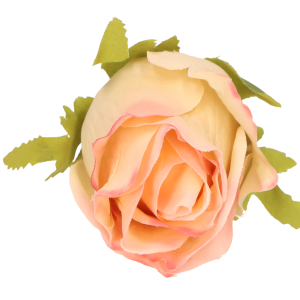 b5300b54b5b38d75abeac0ccd66355b1.png