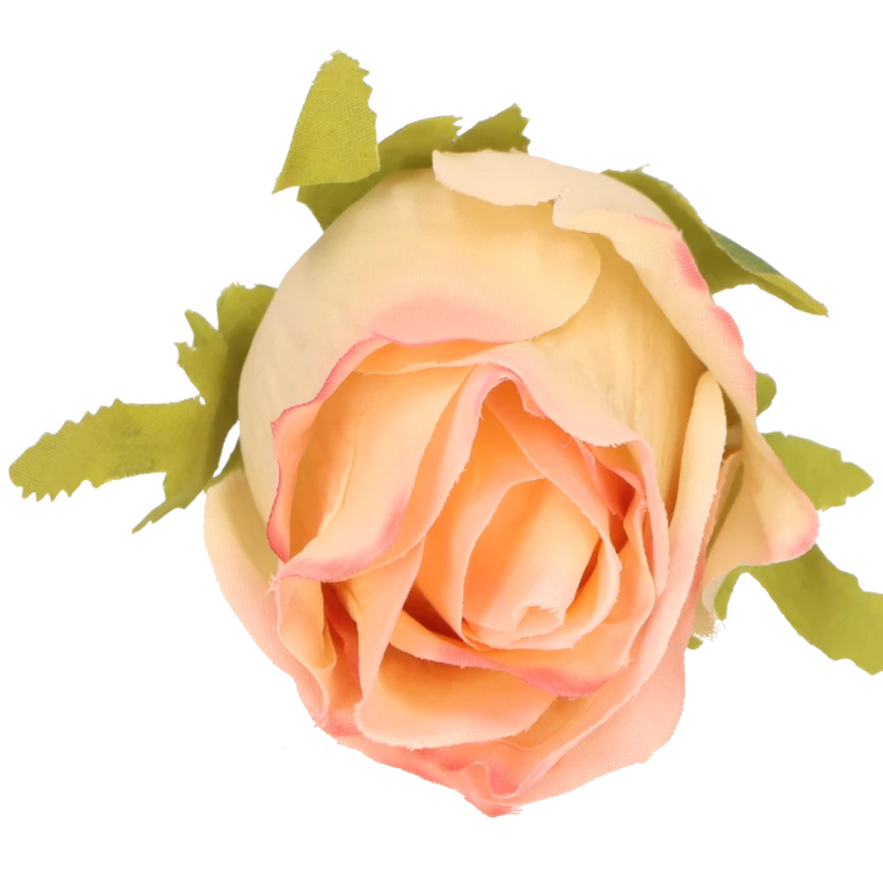 b5300b54b5b38d75abeac0ccd66355b1.png