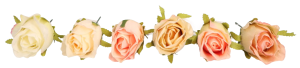 6b0d0dae6e637f2192de3cf322f5f95e.png