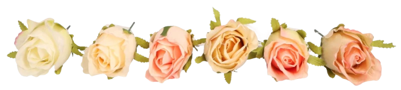 6b0d0dae6e637f2192de3cf322f5f95e.png