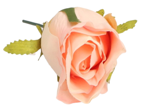 a98a4989ed810821f2b21a46ae239ece.png