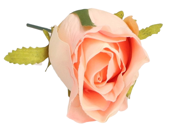a98a4989ed810821f2b21a46ae239ece.png