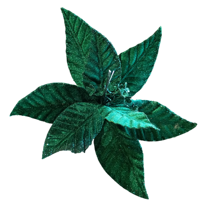 c390728a11e93a66450f42e9b090970b.png