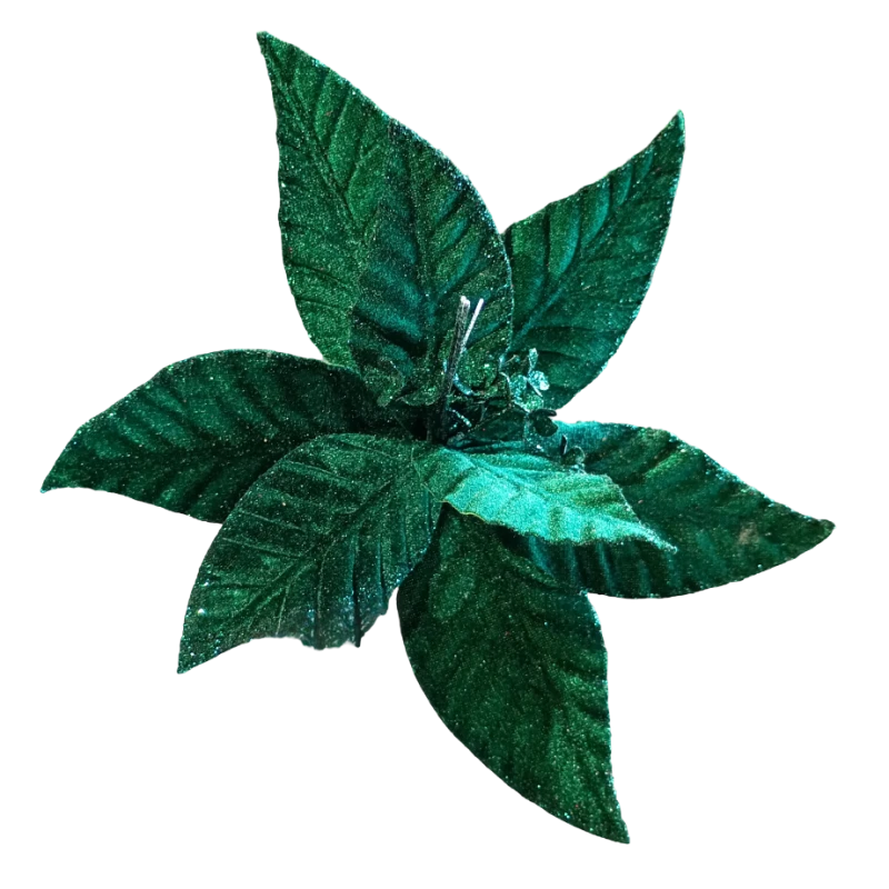 c390728a11e93a66450f42e9b090970b.png