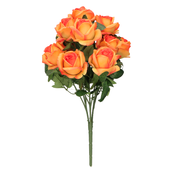 ff4d34e5cea32f90e04c227dc9d5710c.jpg