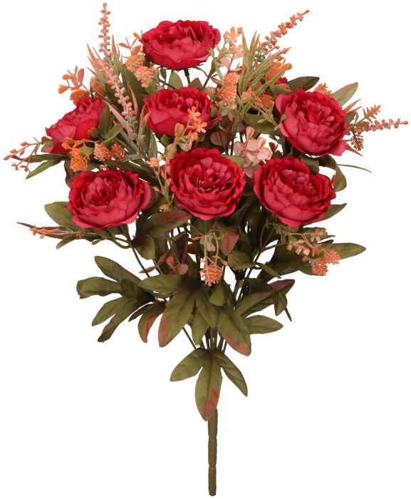 f72dda6c25b58154a167d39106a9a744.png