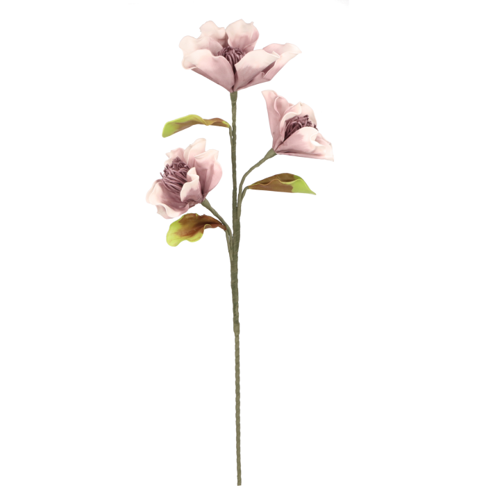 f14007d7f848941b684c804b4a6f570f.png