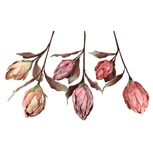 cec1845adda48243f8a1ff6b7af63b9e.png