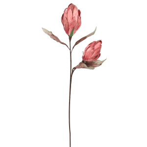 f9326ae4ef6de4a6c160c5b9de0de880.png