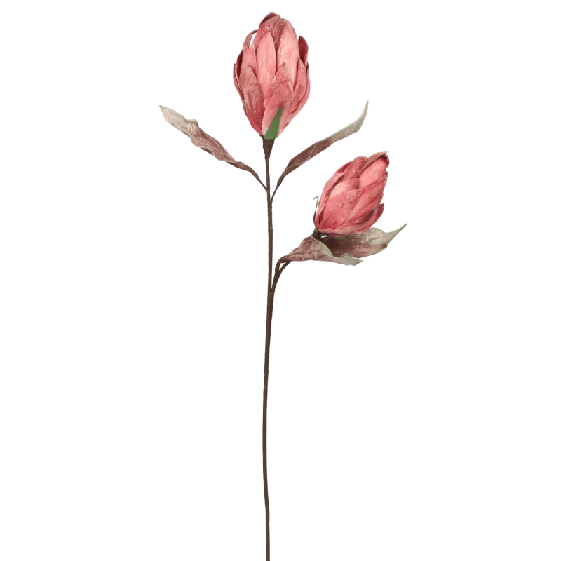 f9326ae4ef6de4a6c160c5b9de0de880.png