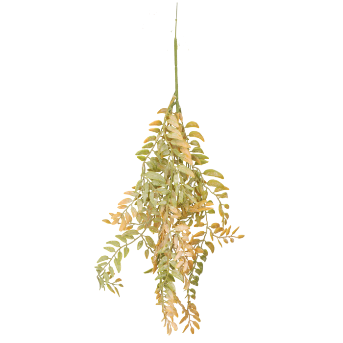 1dc6ba0202576cdea90d715c5165d234.png