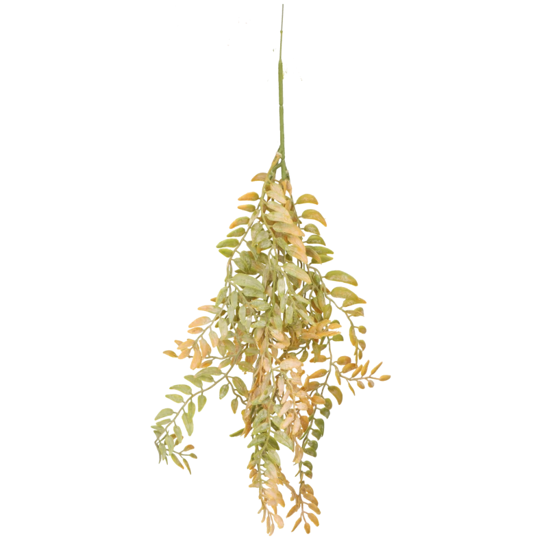 1dc6ba0202576cdea90d715c5165d234.png