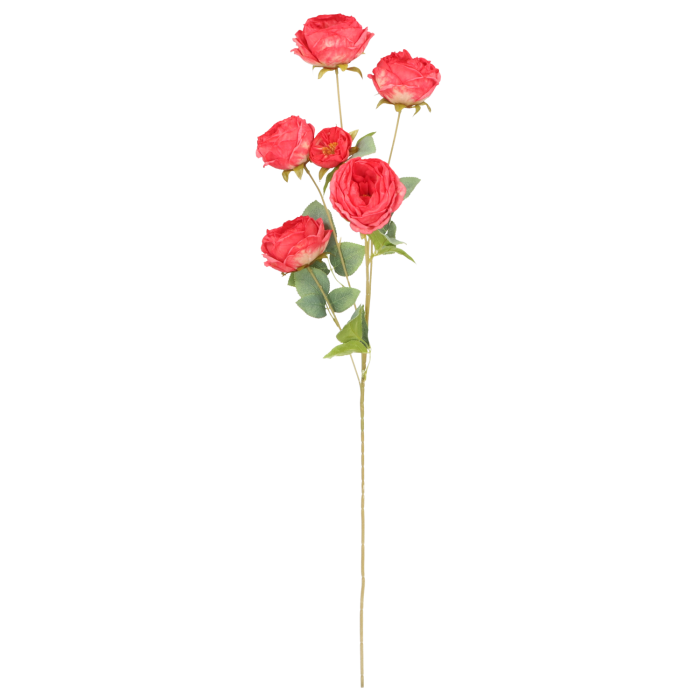 91f30668ee302a01a7a95db9ca7ef378.png