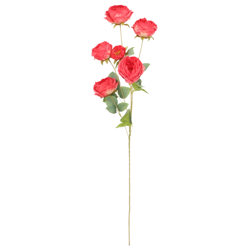 91f30668ee302a01a7a95db9ca7ef378.png
