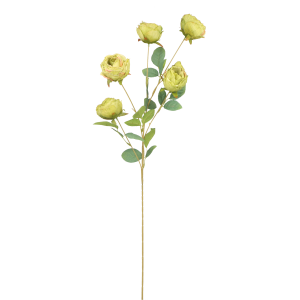 279ee3351730a73e964ba877f06b56de.png