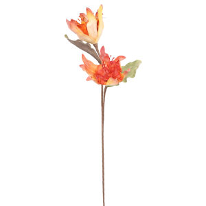 b2acee33d387f071a44a158d62961faa.png