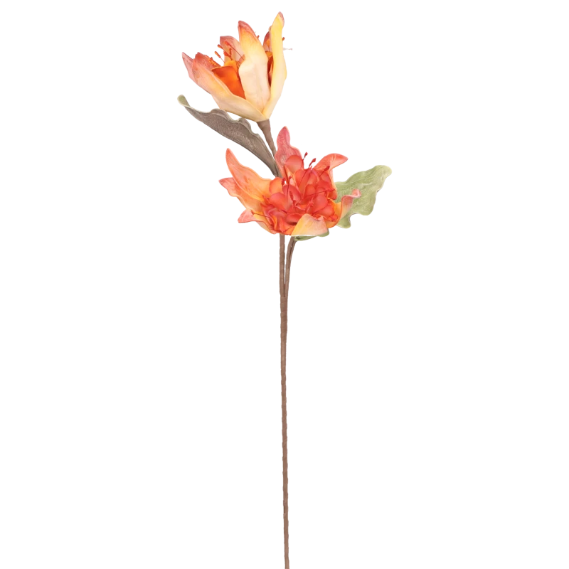 b2acee33d387f071a44a158d62961faa.png