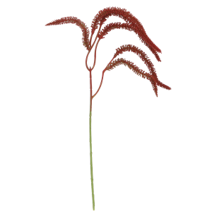2ca5b9c62b23a13b7c540a3e810224f2.png