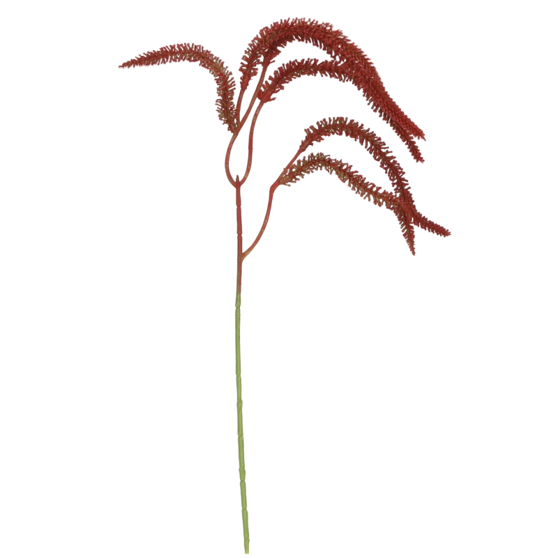 2ca5b9c62b23a13b7c540a3e810224f2.png