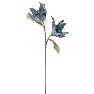 e3a17a0715f61db011dc94c5b59c18b3.png
