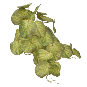 13d53dca2df599f9a1a0611e1fd98883.png
