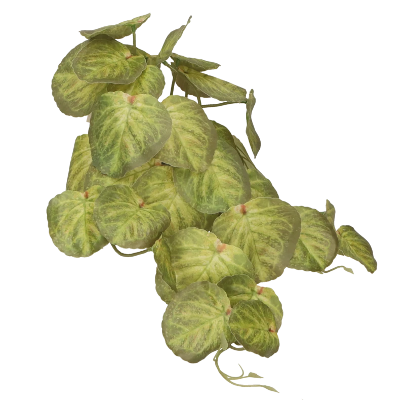 13d53dca2df599f9a1a0611e1fd98883.png