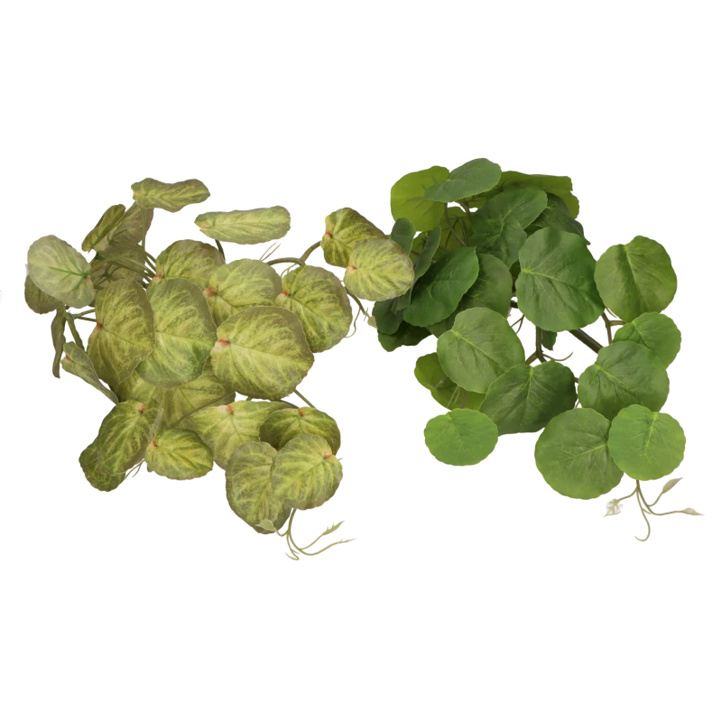 65b0fa354efeacc17d4fa1a28d7c8f82.png