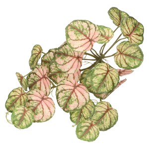 2e4d00b9cfb6eab09cc0c3a9a3119b88.jpg