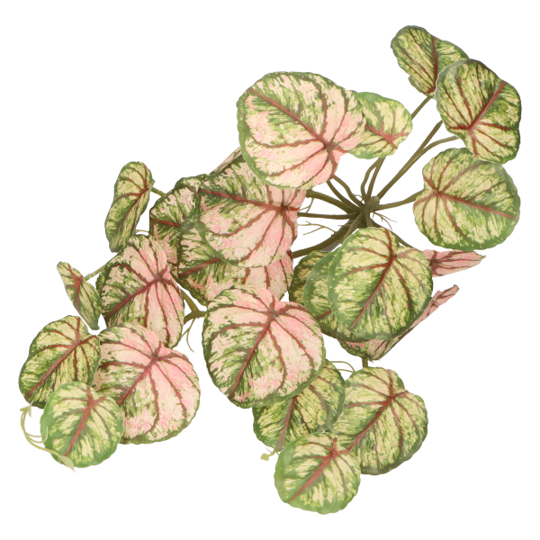 2e4d00b9cfb6eab09cc0c3a9a3119b88.jpg