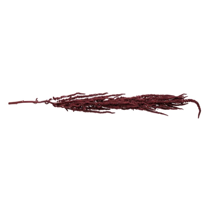 Kwiat suszony stabilizowany bordowy AST40189