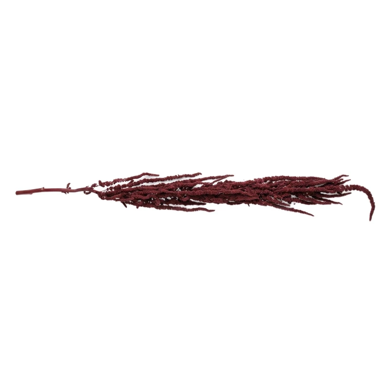 Kwiat suszony stabilizowany bordowy AST40189