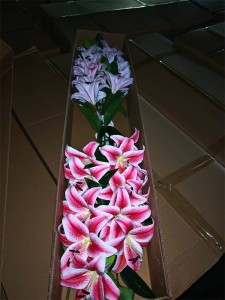 Kwiat sztuczny Lilia gałązka 90cm ASC23457-8