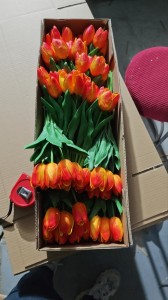 Tulipan sztuczny 33 cm AST50578-13