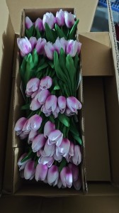 Tulipan sztuczny 33 cm AST50578-34