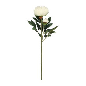 Piwonia Gałązka 65 cm ASC20574-1