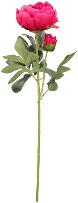 Piwonia Gałązka 65 cm ASC20574-25