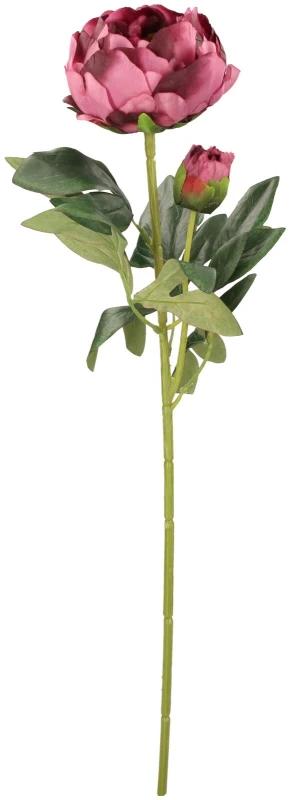 Piwonia Gałązka 65 cm ASC20574-26