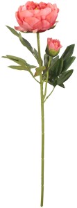 Piwonia Gałązka 65 cm ASC20574-56