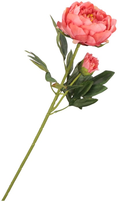 Piwonia Gałązka 65 cm ASC20574-56