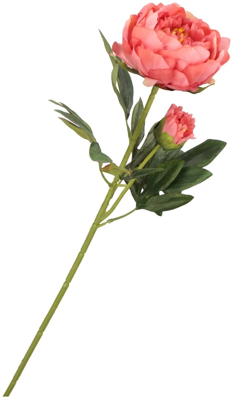 Piwonia Gałązka 65 cm ASC20574-56